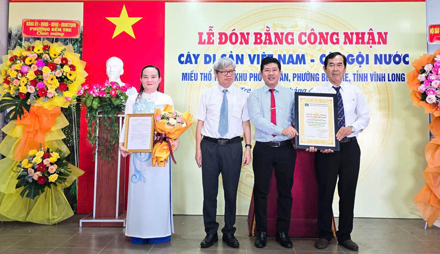 C&acirc;y[-]Gội[-]nước[-]hơn[-]200[-]năm[-]tuổi[-]tại[-]Vĩnh[-]Long[-]được[-]c&ocirc;ng[-]nhận[-]C&acirc;y[-]Di[-]sản[-]Việt[-]Nam